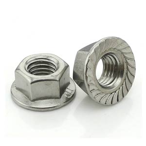 SS Hex Flange Nuts Manufacturers In India